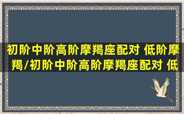 初阶中阶高阶摩羯座配对 低阶摩羯/初阶中阶高阶摩羯座配对 低阶摩羯-我的网站